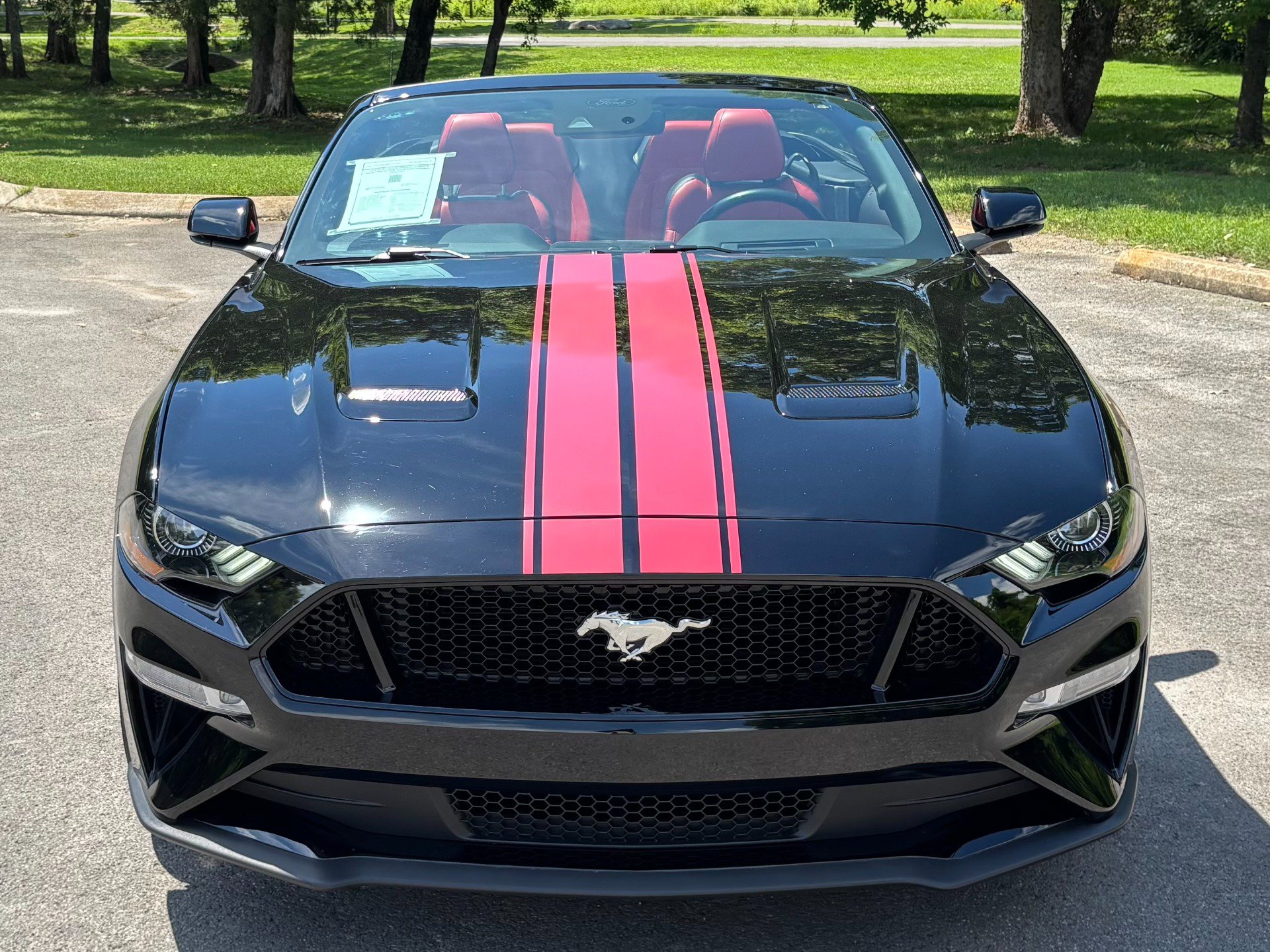Used 2020 Ford Mustang GT Premium w/ Equipment Group 401A RWD image 5