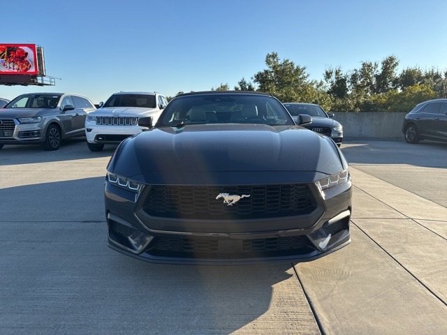 Used 2024 Ford Mustang Premium image 8