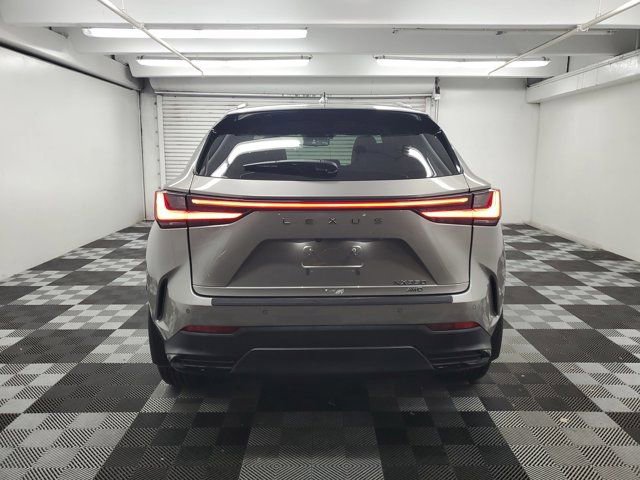 Used 2024 Lexus NX 350 AWD image 5