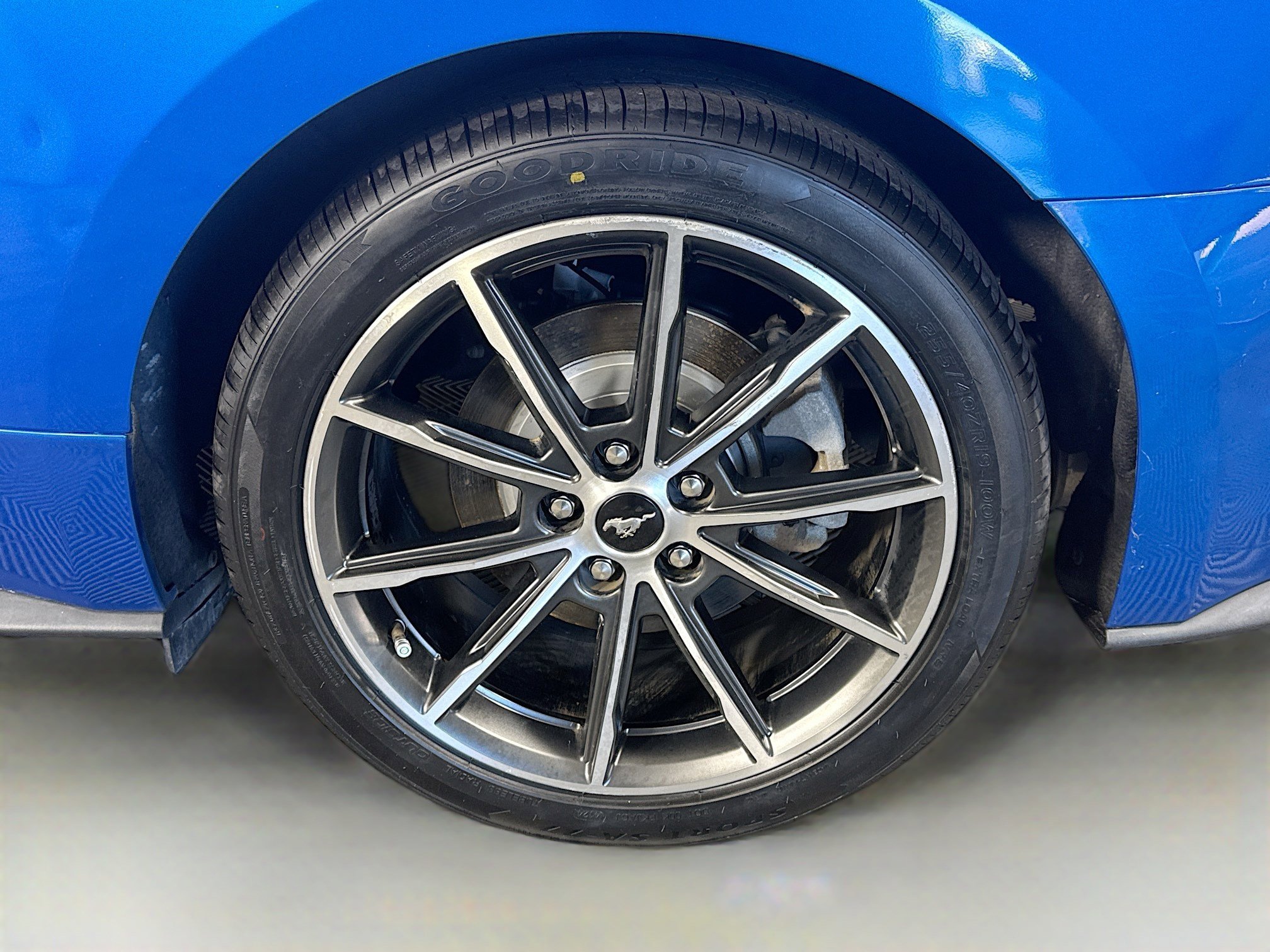 Used 2019 Ford Mustang EcoBoost w/ Wheel & Stripe Package image 35