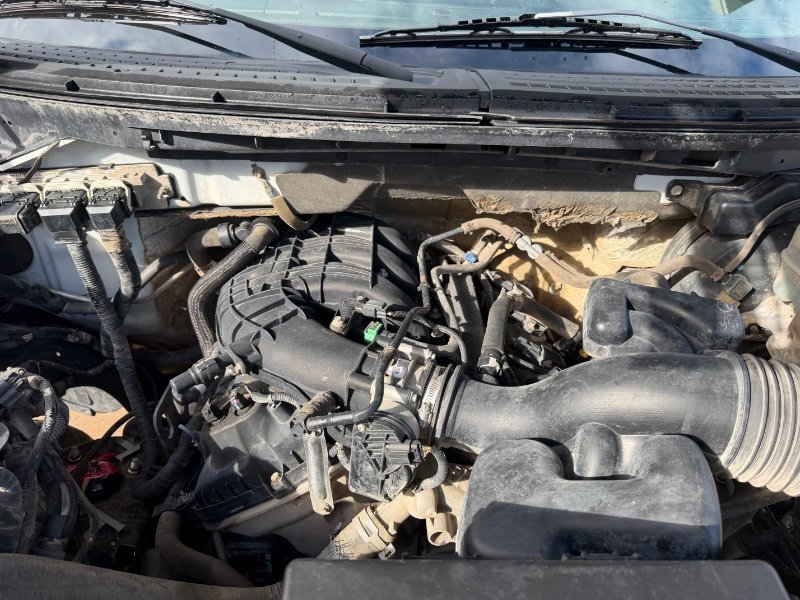 Used 2012 Ford F150 XL w/ PWR Equipment Group AWD/4WD image 26
