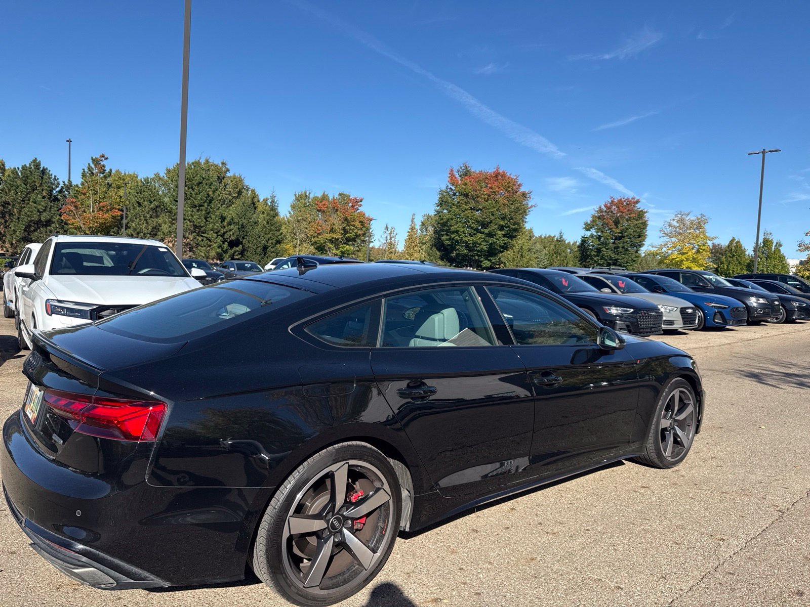 Used 2023 Audi A5 2.0T Premium Plus AWD/4WD image 4