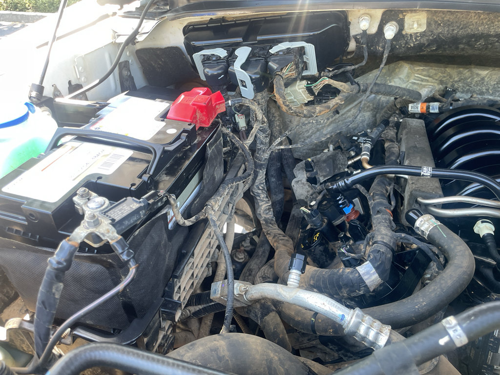 Used 2019 Ford F150 XLT w/ Equipment Group 301A Mid AWD/4WD image 19