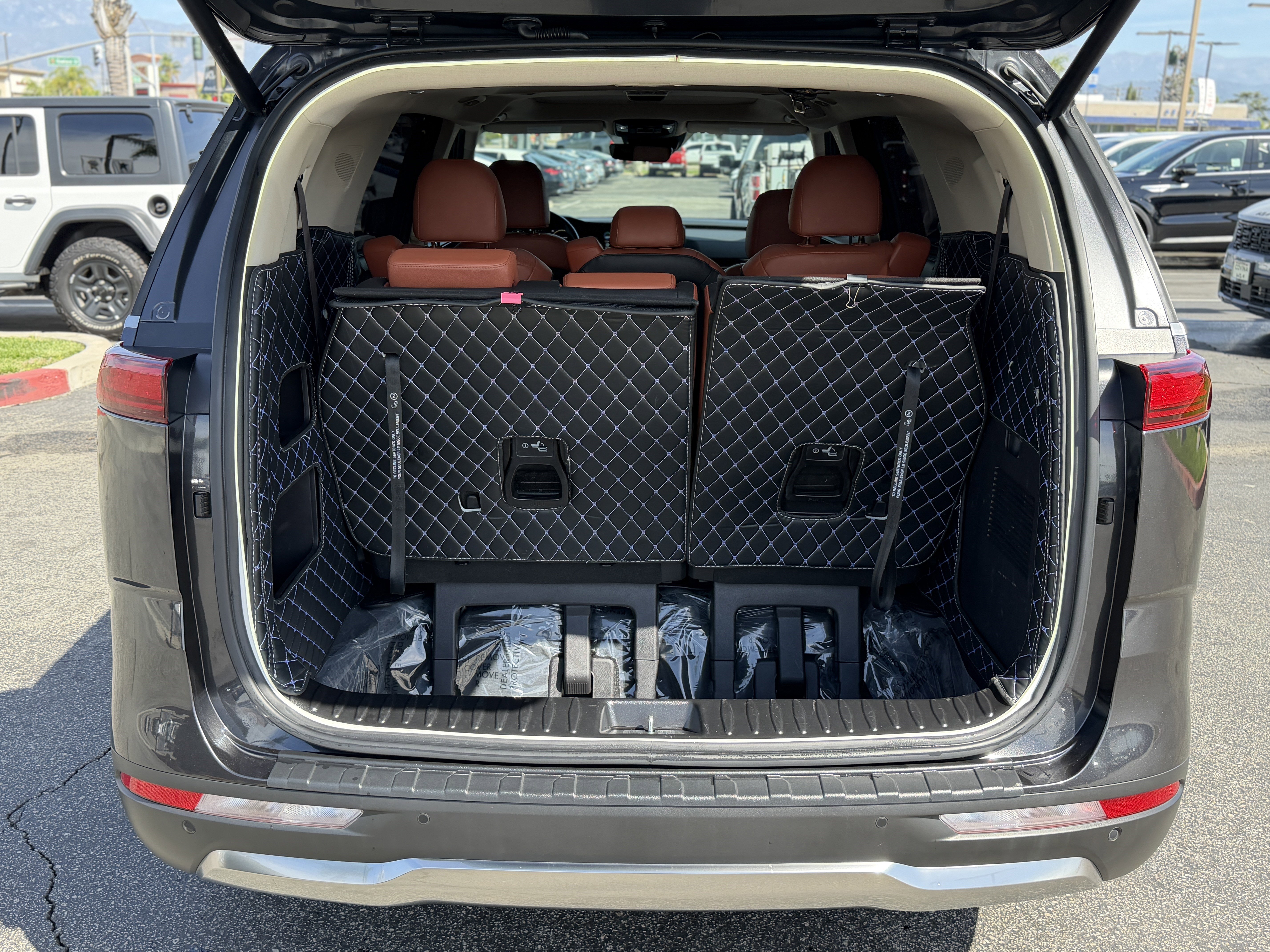 Used 2024 Kia Carnival SX Prestige image 10