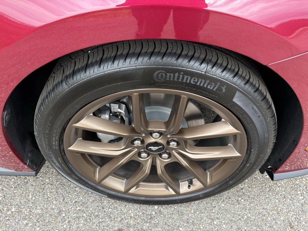 New 2026 Ford Mustang EcoBoost w/ Bronze Appearance Package image 15