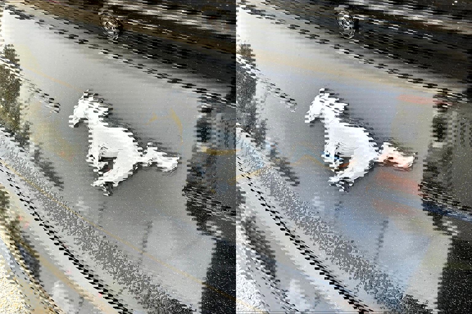 Used 2020 Ford Mustang Coupe w/ Equipment Group 101A image 31