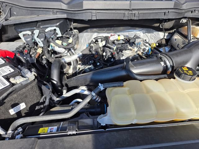 Used 2021 Ford F150 XL w/ STX Appearance Package AWD/4WD image 26