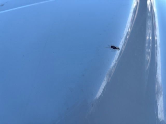 Used 2018 RAM 2500 Laramie w/ Sport Appearance Group image 31