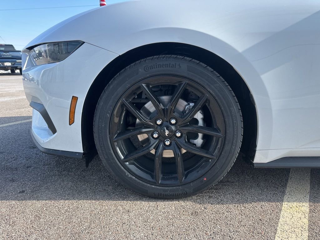 New 2026 Ford Mustang Convertible w/ Mustang Nite Pony Package image 14