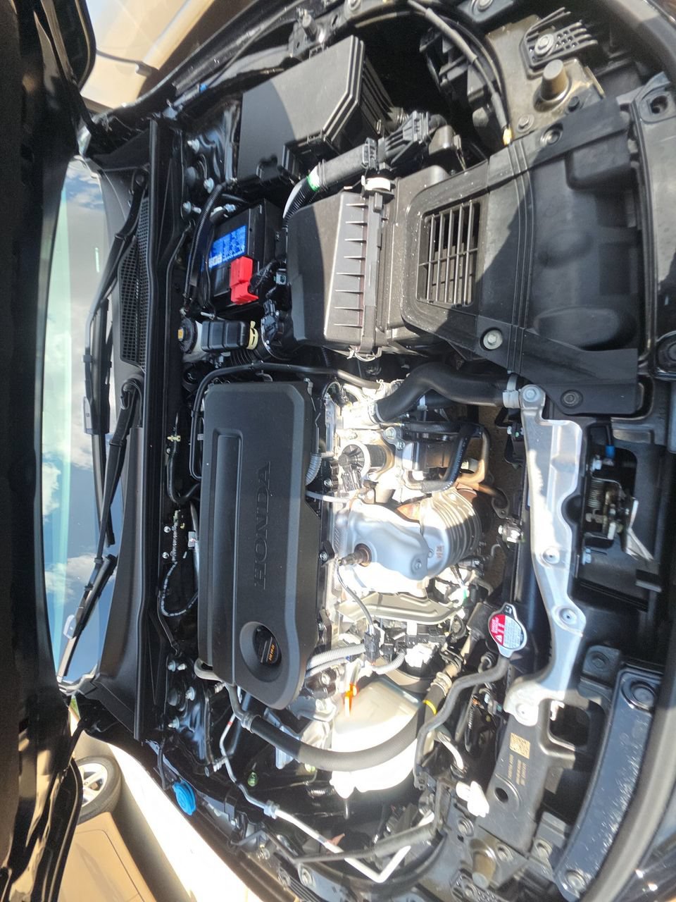 Used 2025 Honda Civic Sport image 16