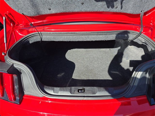 Used 2019 Ford Mustang Premium image 7