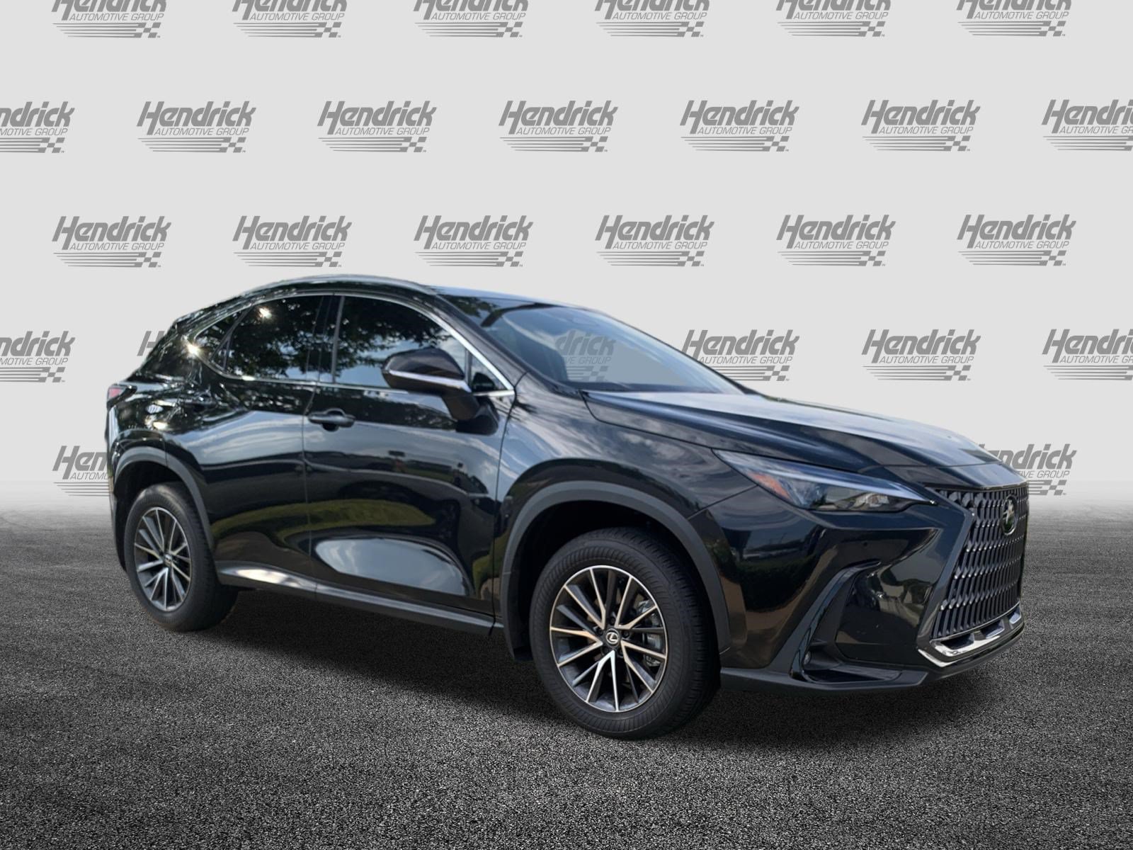 Certified 2024 Lexus NX 250 FWD image 2