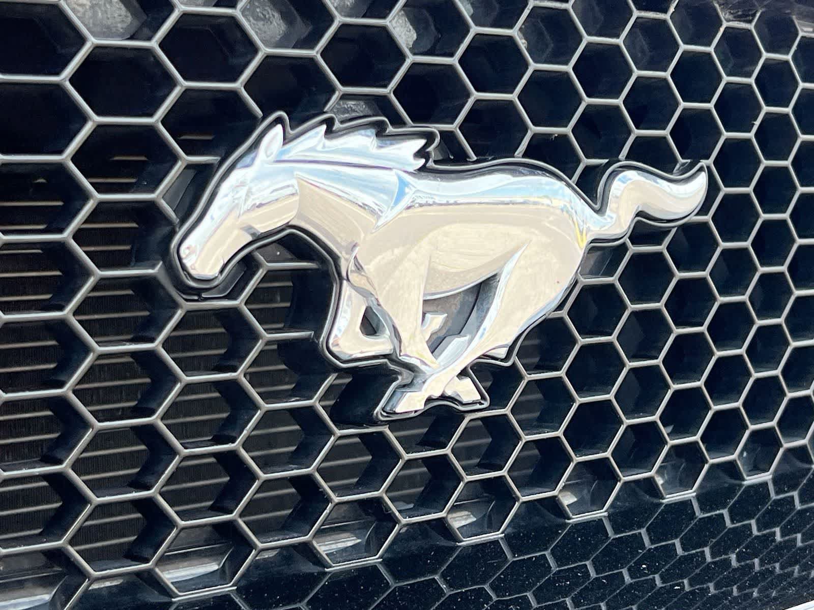 Used 2019 Ford Mustang GT Premium w/ GT Performance Package RWD image 13