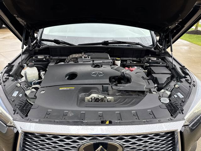 Used 2019 INFINITI QX50 Essential w/ Premium Heat Package image 31