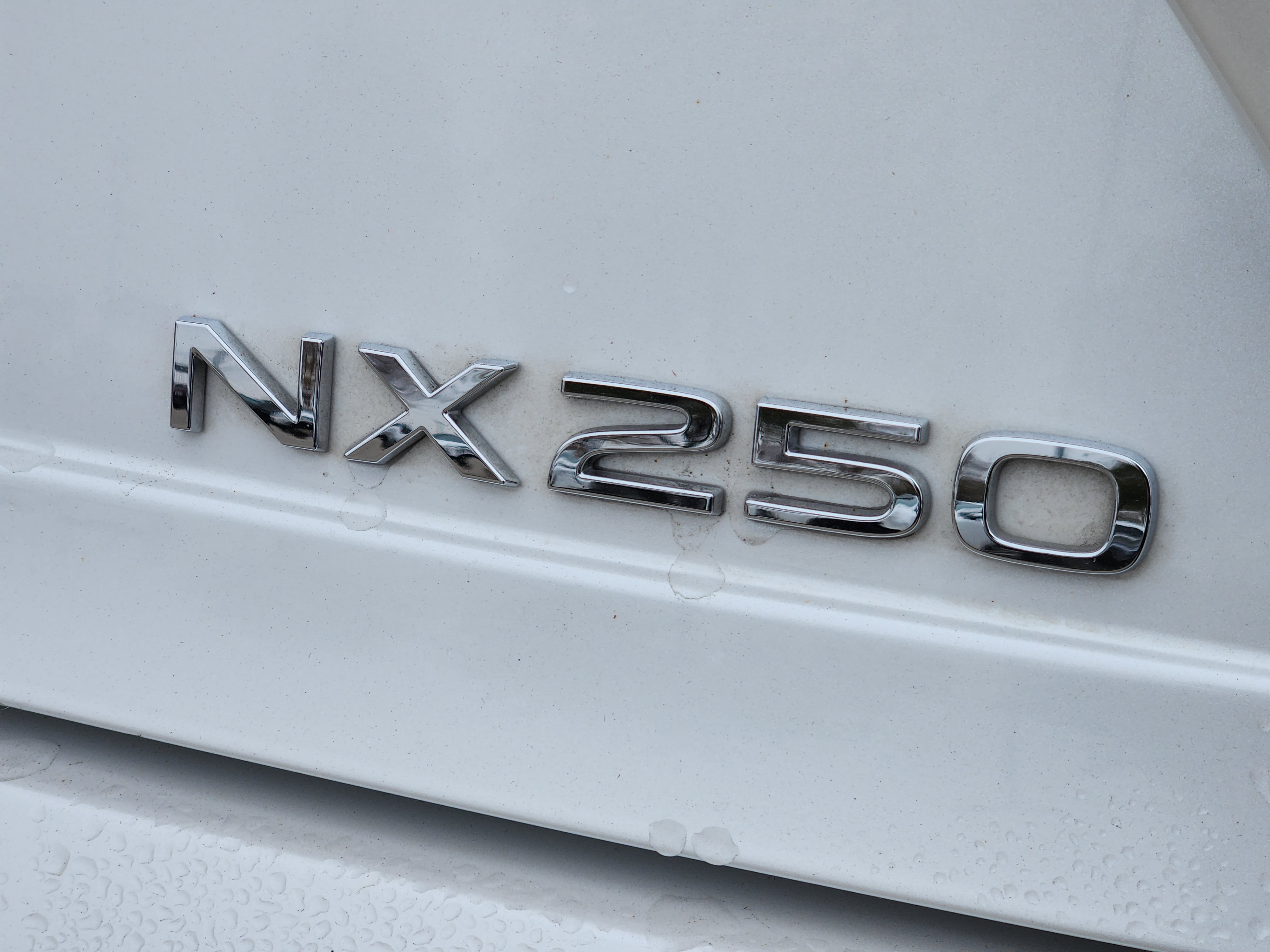 Certified 2024 Lexus NX 250 FWD w/ Premium Package image 14