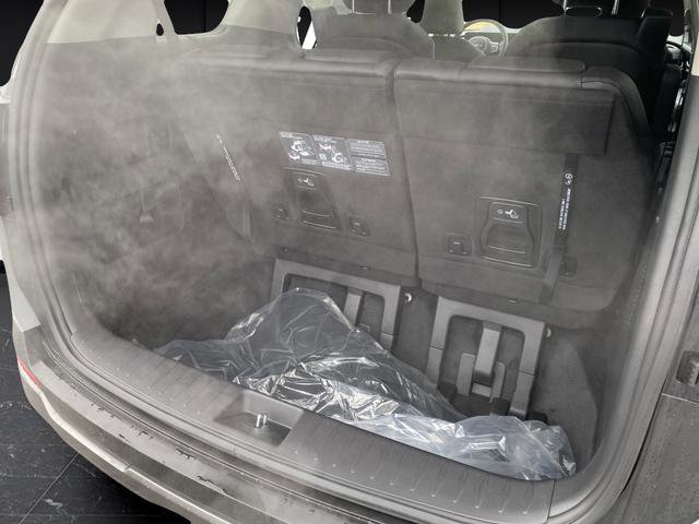 New 2026 Kia Carnival SX Prestige image 17