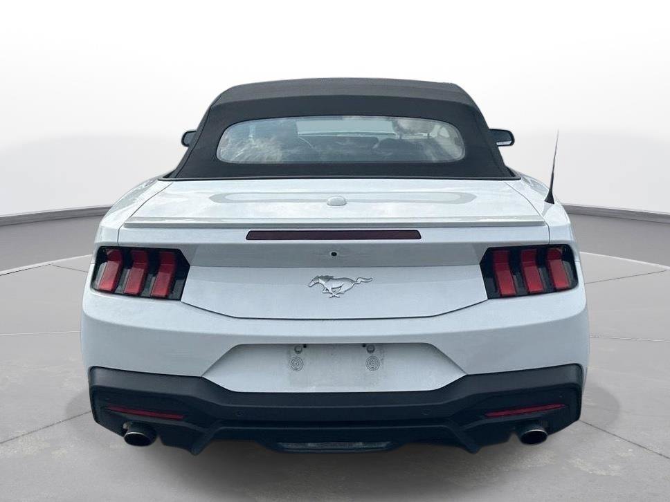 Used 2025 Ford Mustang Premium RWD image 7