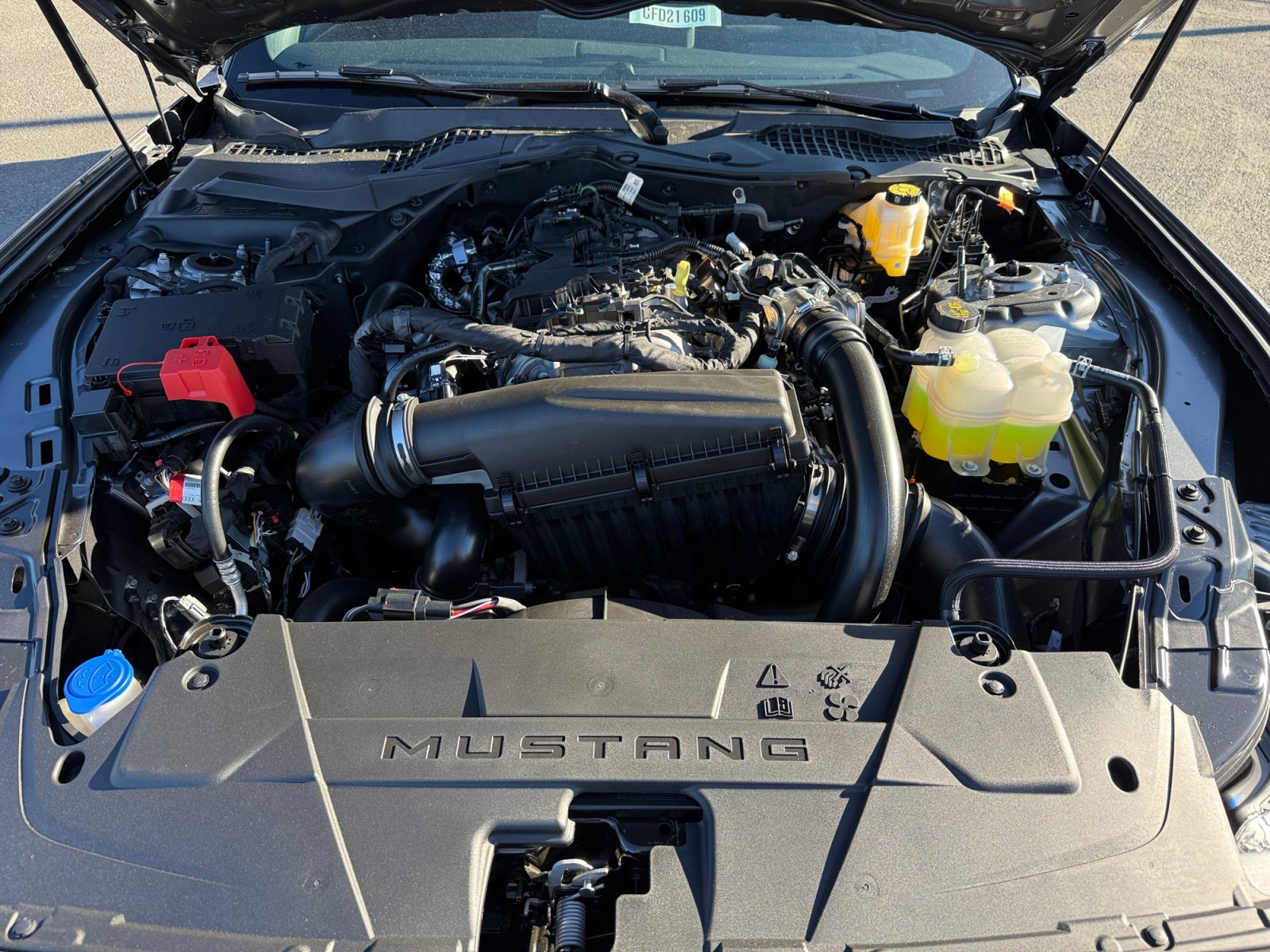 New 2026 Ford Mustang Coupe RWD image 20