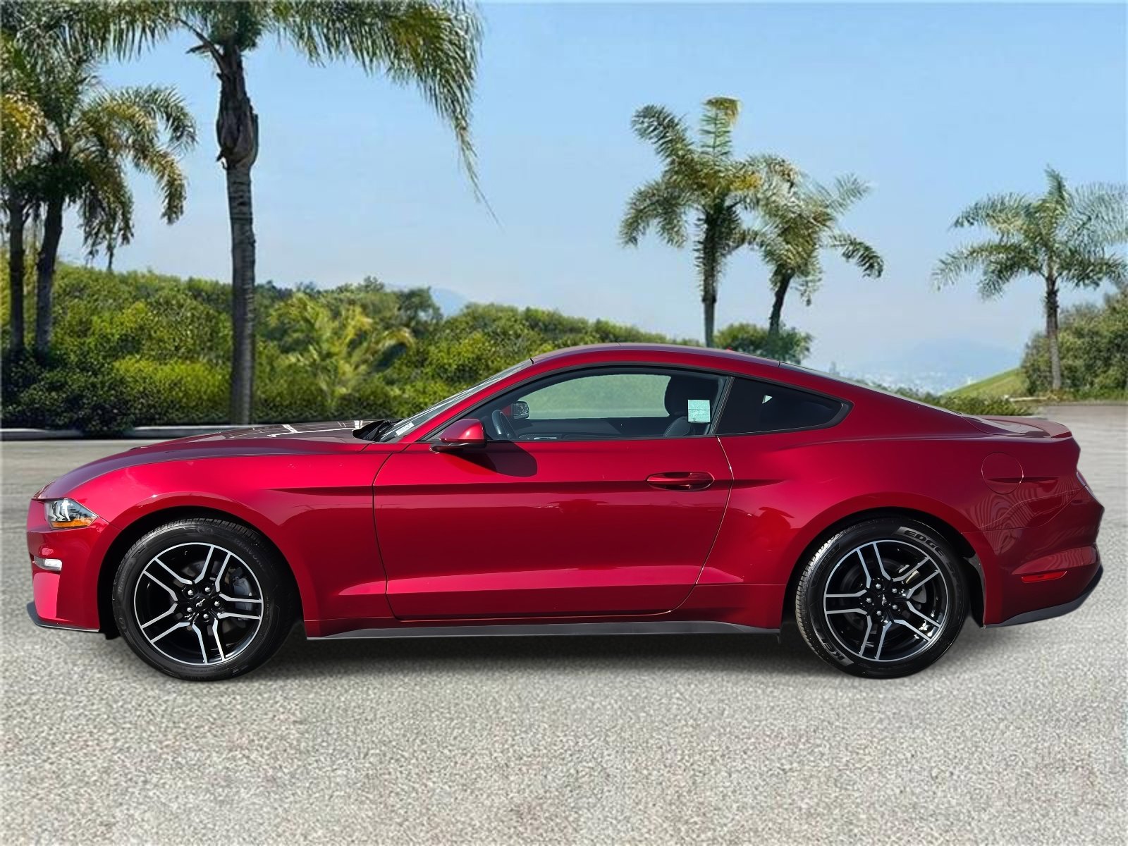 Used 2019 Ford Mustang EcoBoost Fastback RWD w/ Equipment Group 101A image 2