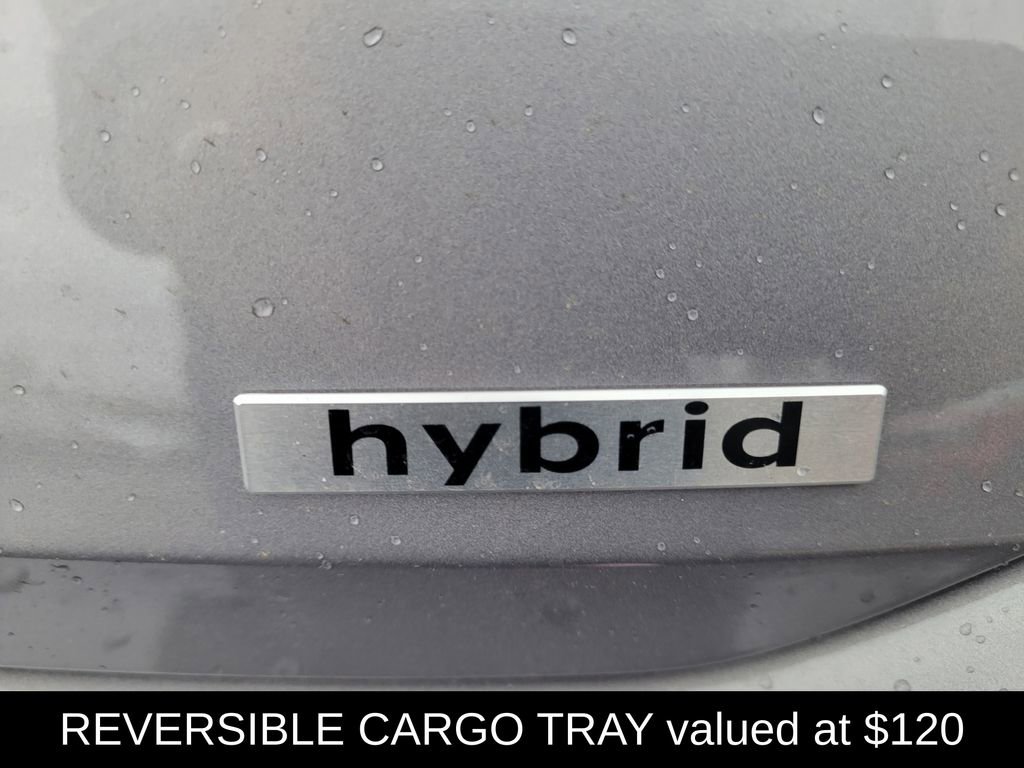 Used 2025 Hyundai Elantra Limited image 5