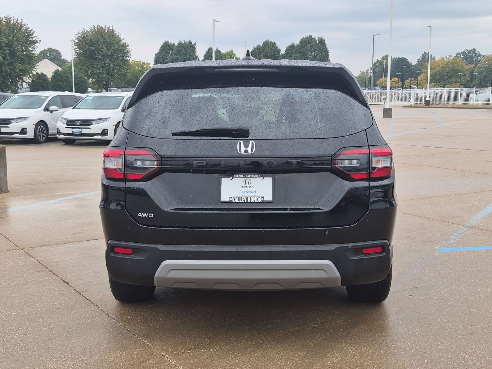 Certified 2025 Honda Pilot EX-L image 7