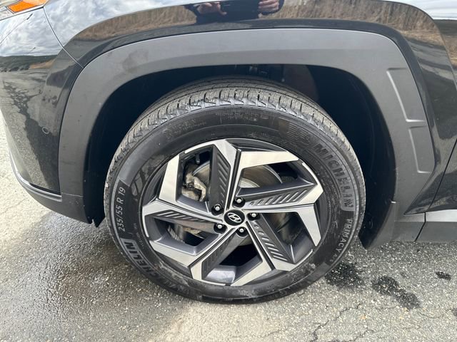 Certified 2024 Hyundai Tucson Limited image 25