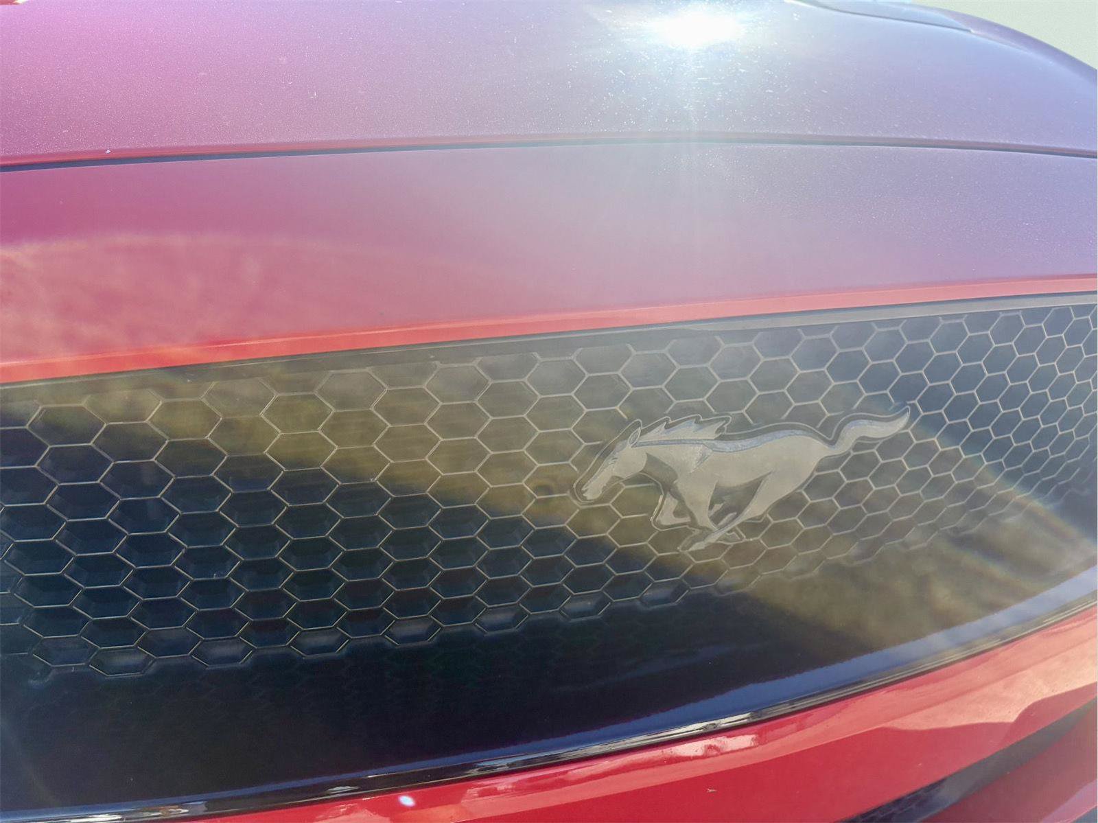 Used 2020 Ford Mustang GT Premium w/ GT Performance Package RWD image 11