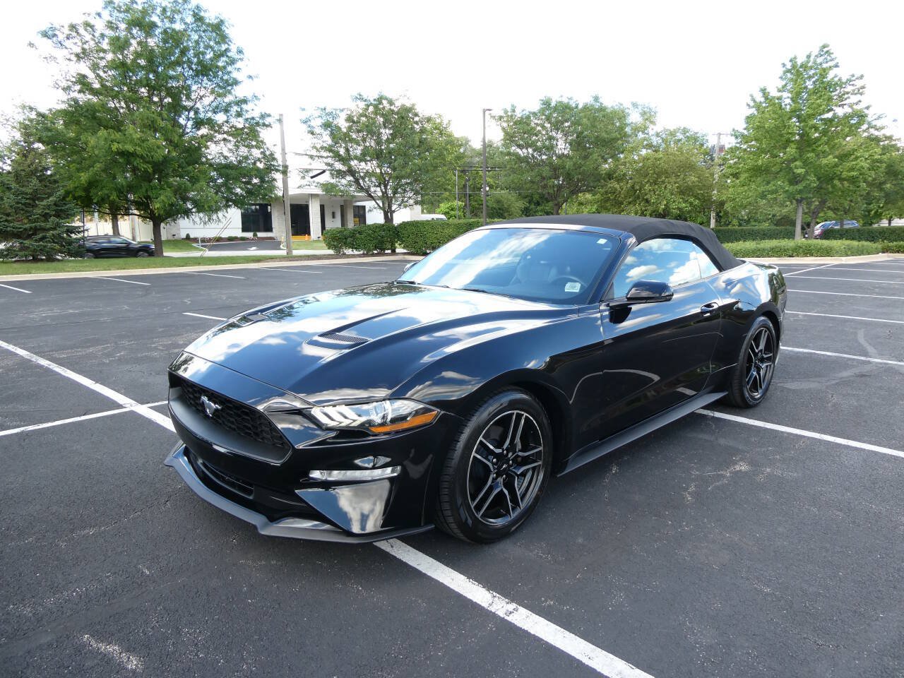 Used 2019 Ford Mustang Premium