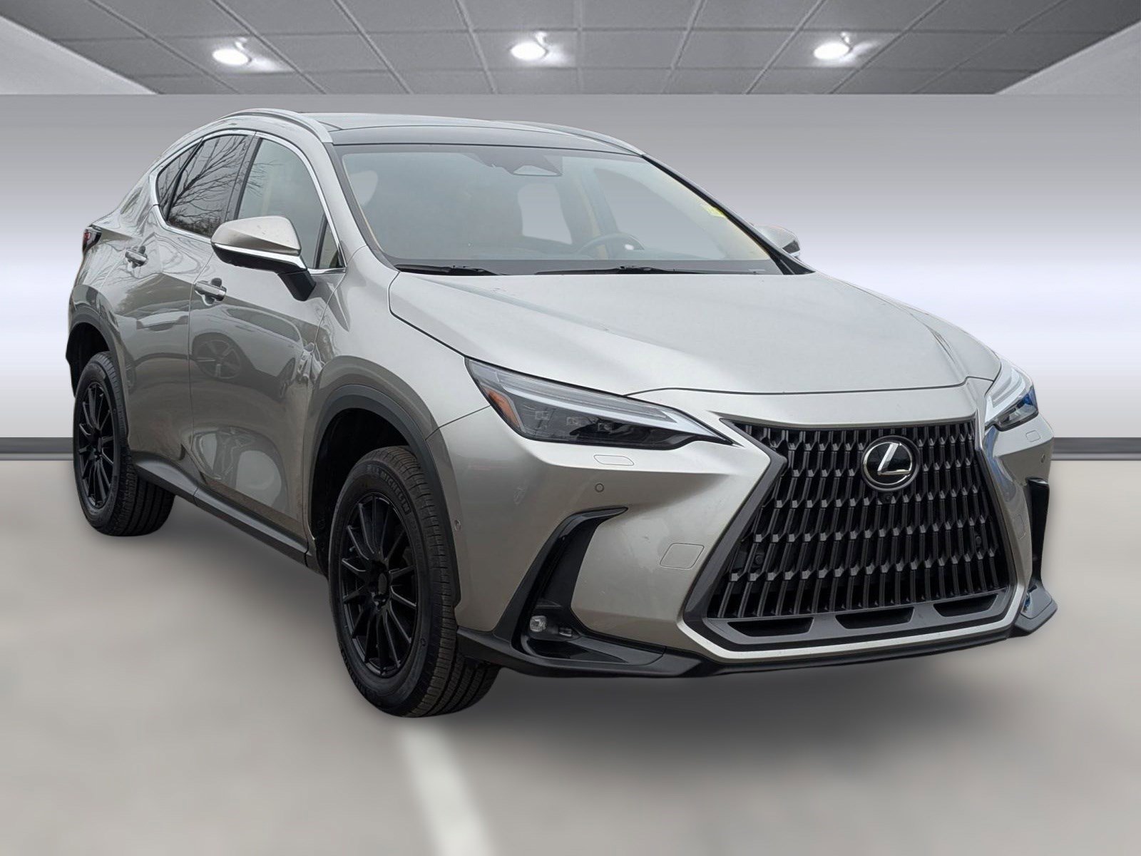 Used 2022 Lexus NX 350h AWD image 7
