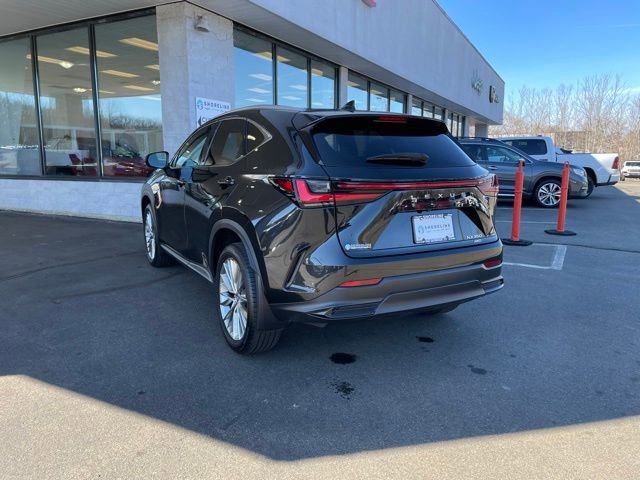 Used 2023 Lexus NX 350 AWD w/ Cold Area Package image 7