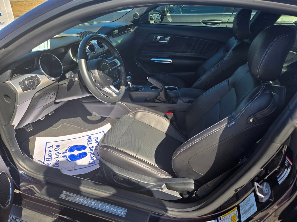 Used 2021 Ford Mustang GT Premium image 6