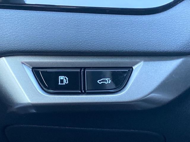 Used 2023 Lexus RX 350 Premium Plus w/ Cold Area Package image 14