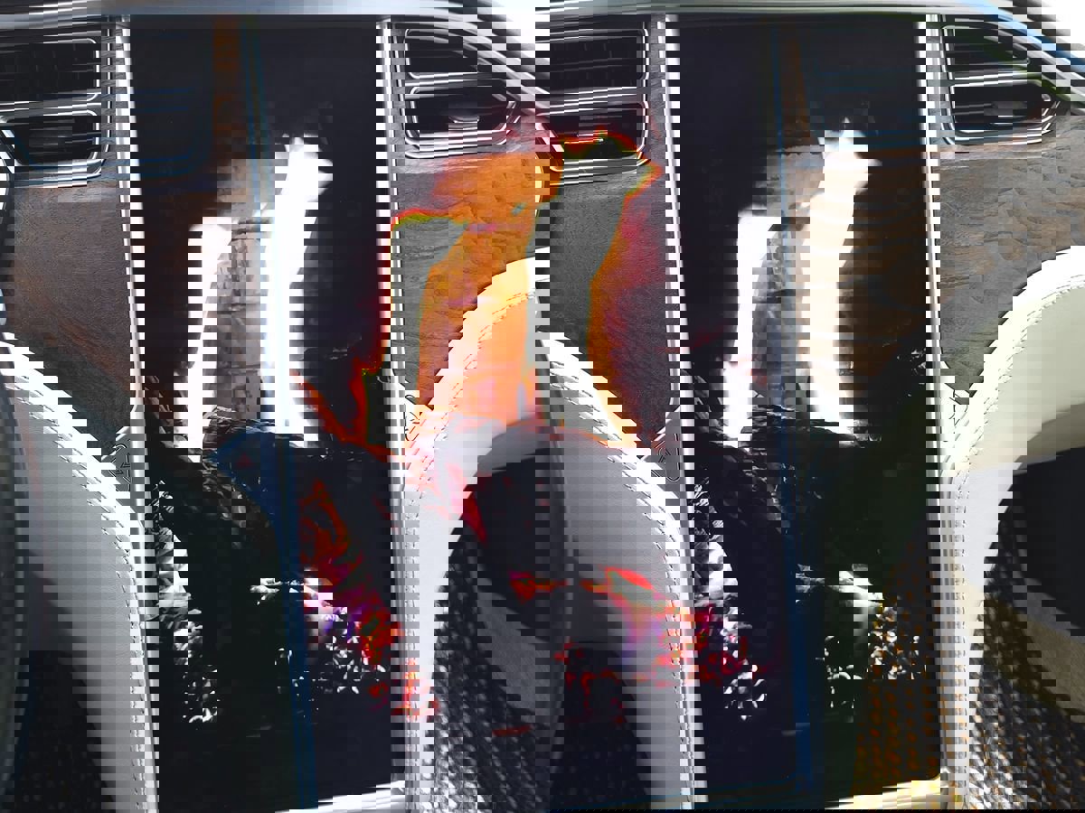 Used 2018 Tesla Model S 100D image 40