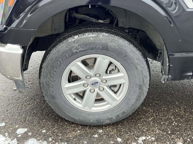 Used 2023 Ford F150 XLT image 8