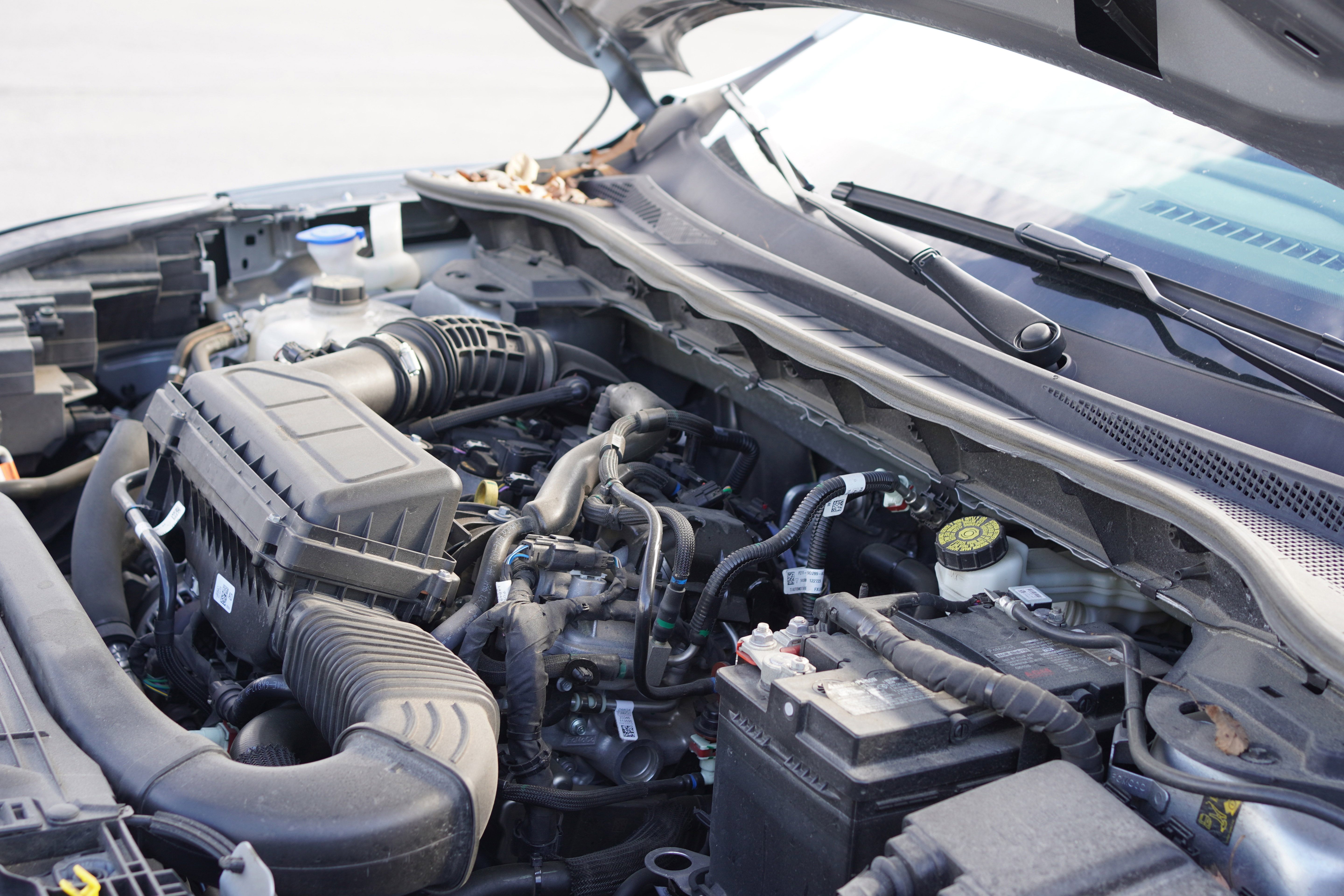 Used 2024 Ford Escape ST-Line image 52