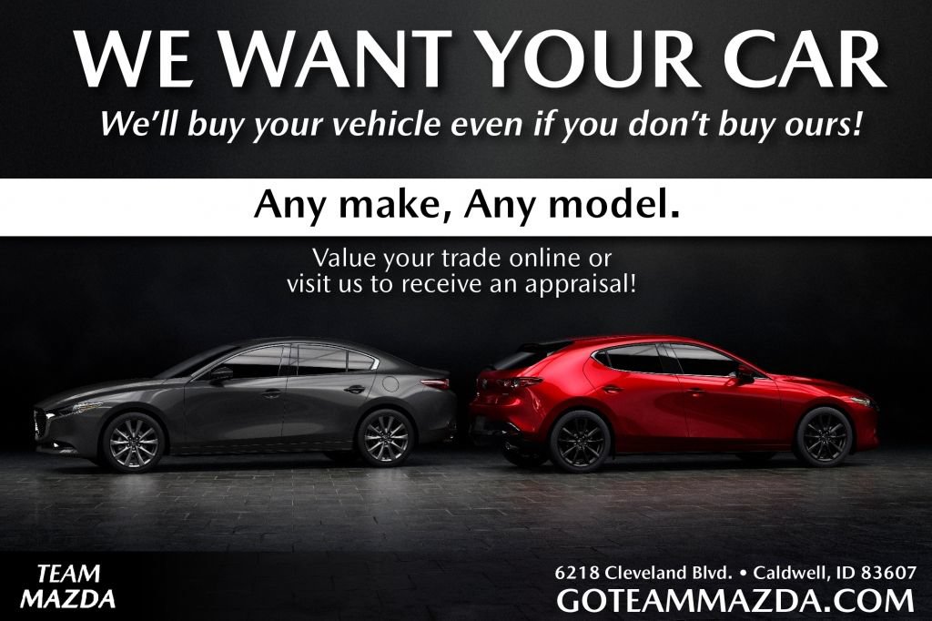Used 2024 Ford Edge SEL w/ Convenience Package AWD/4WD image 13