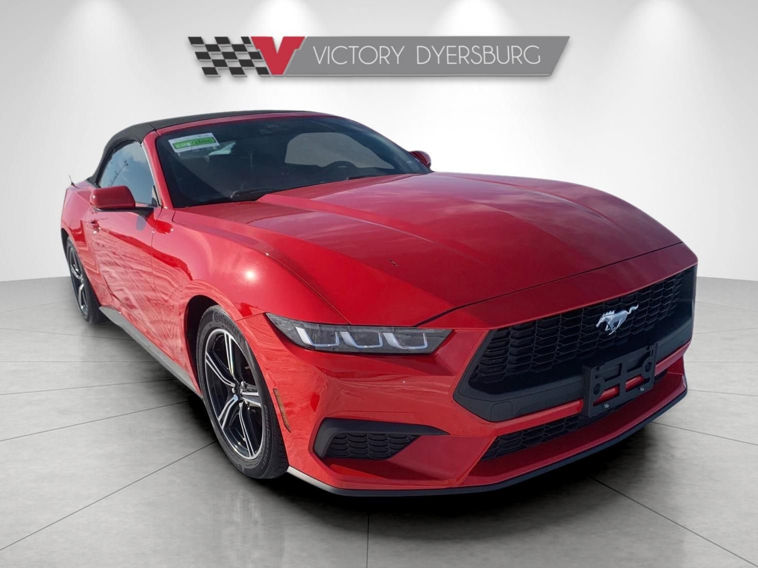 Used 2024 Ford Mustang Premium image 1