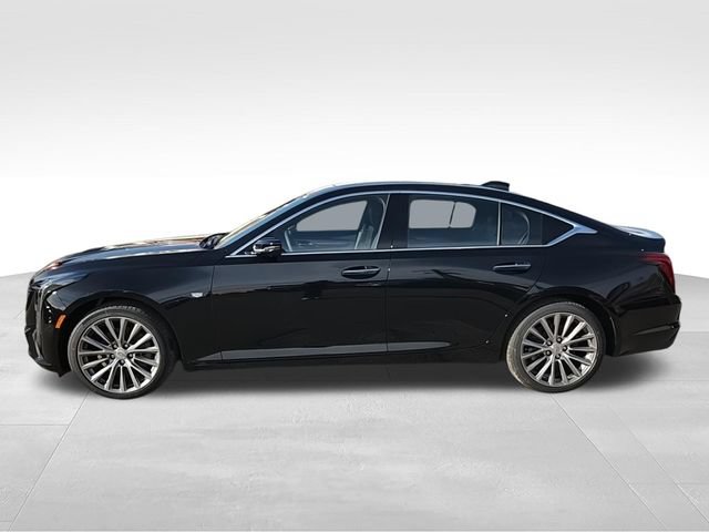 New 2026 Cadillac CT5 Premium Luxury w/ Technology Package AWD/4WD image 5
