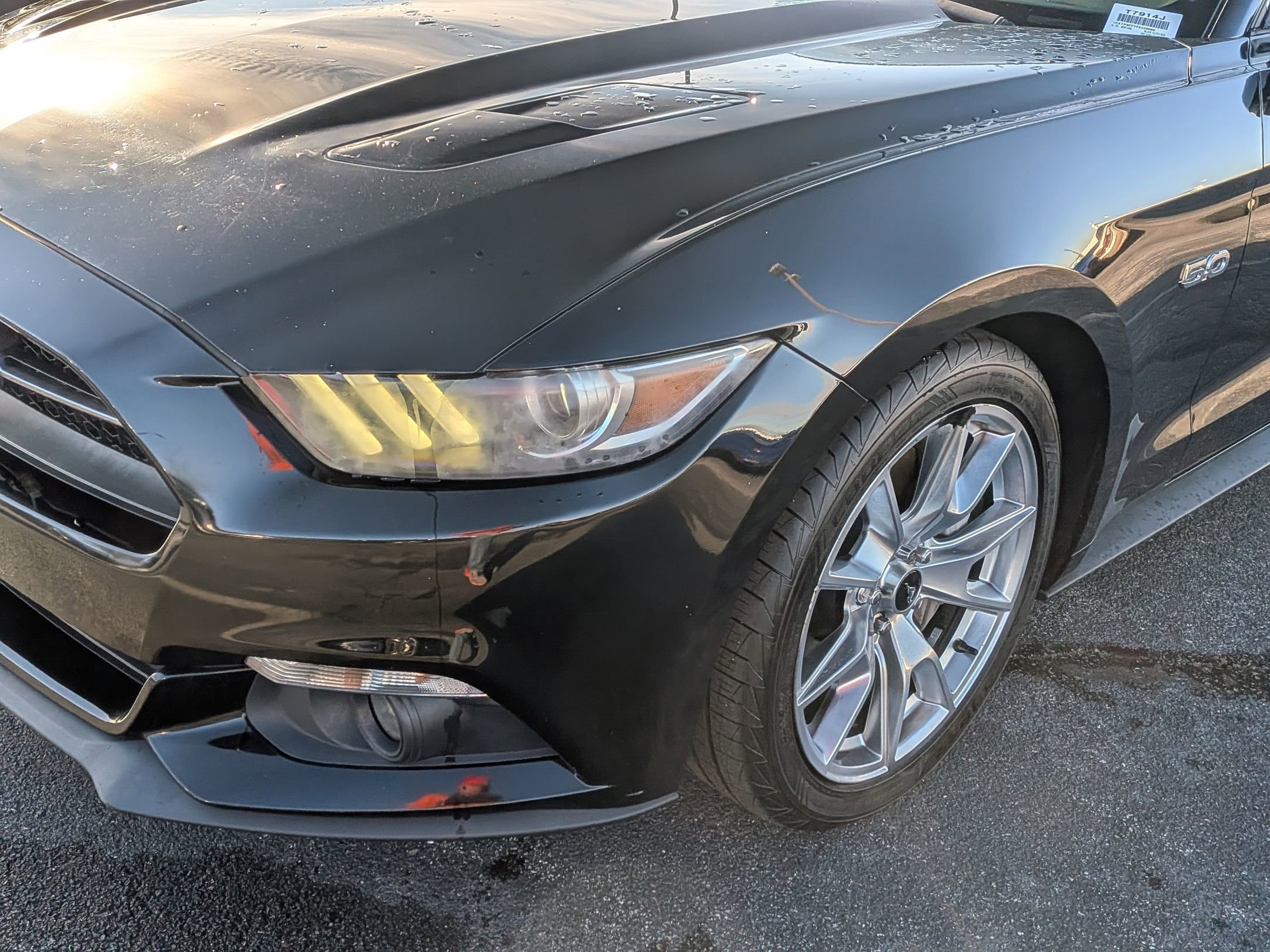 Used 2015 Ford Mustang GT Premium w/ Equipment Group 401A image 11