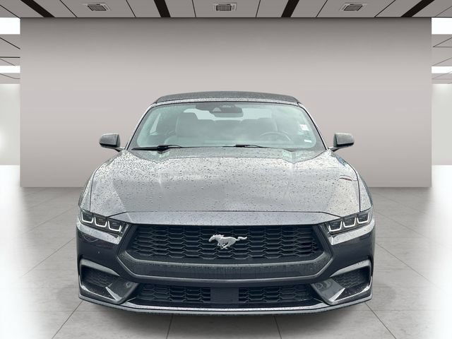 Used 2024 Ford Mustang Premium RWD image 9