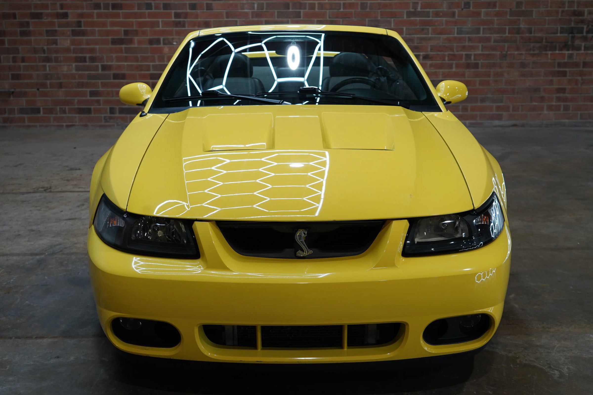 Used 2003 Ford Mustang Cobra image 6
