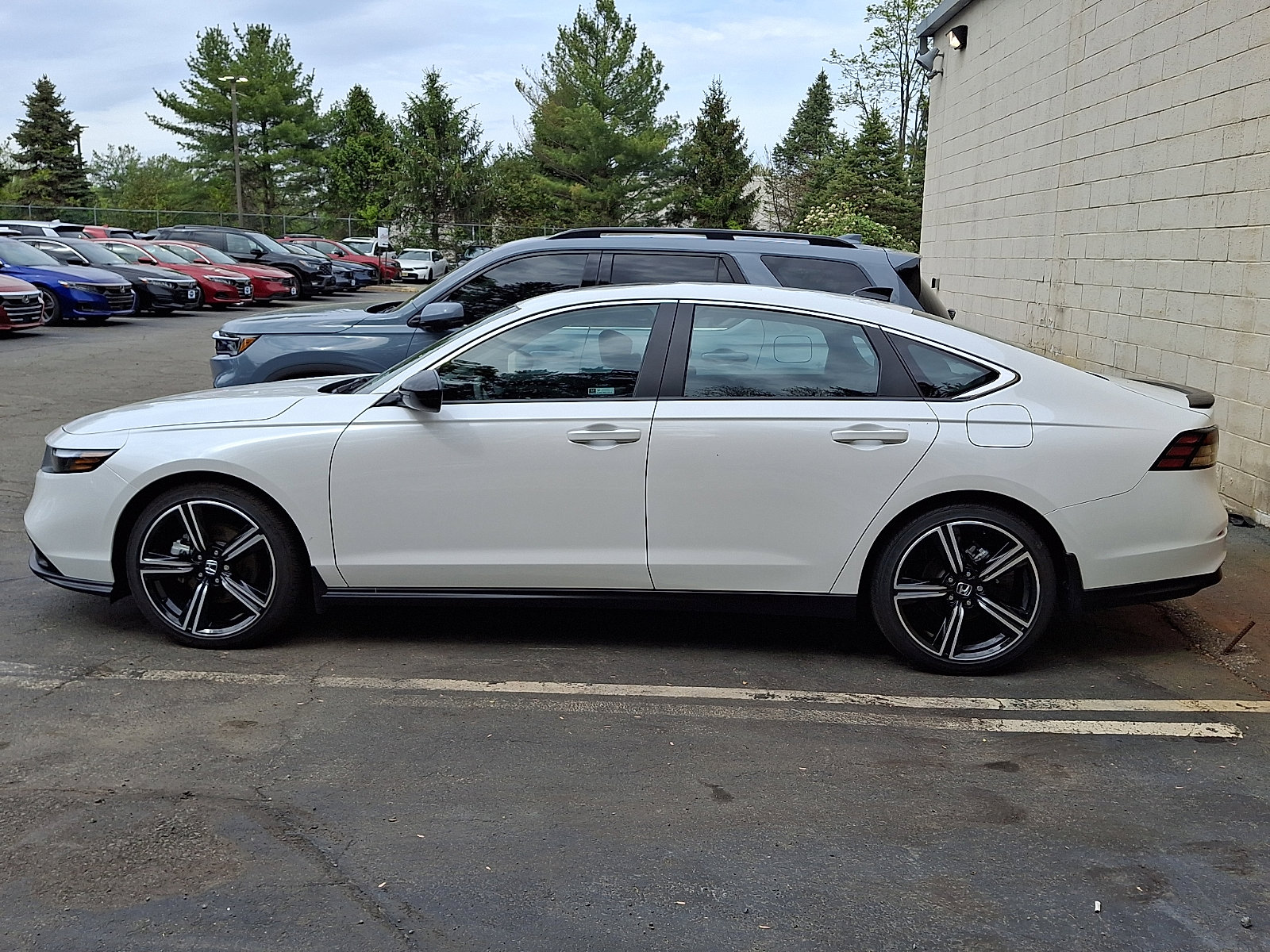 Used 2025 Honda Accord Sport image 4