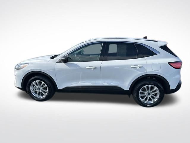 Used 2022 Ford Escape SE image 2
