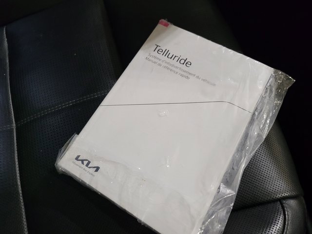 Used 2022 Kia Telluride SX image 80