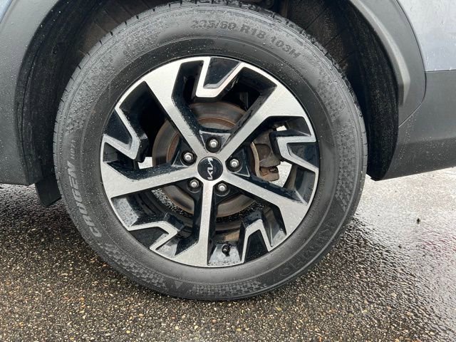 Used 2023 Kia Sportage EX image 8