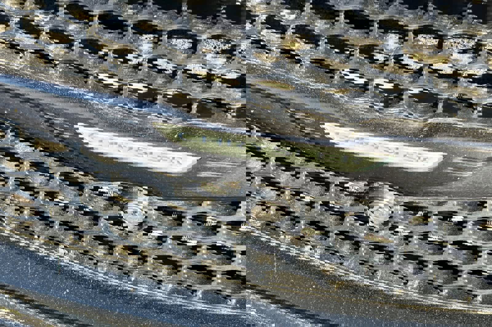 Used 2019 Chrysler Pacifica Limited w/ Advanced Safetytec Group image 13