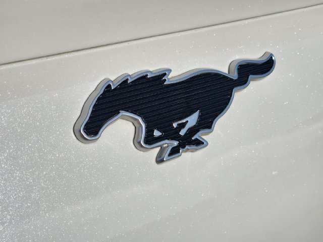 Certified 2023 Ford Mustang Mach-E Premium RWD image 11