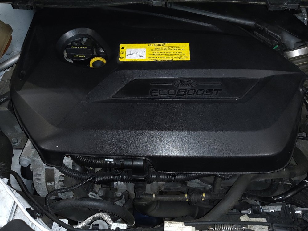 Used 2015 Ford Escape SE image 30