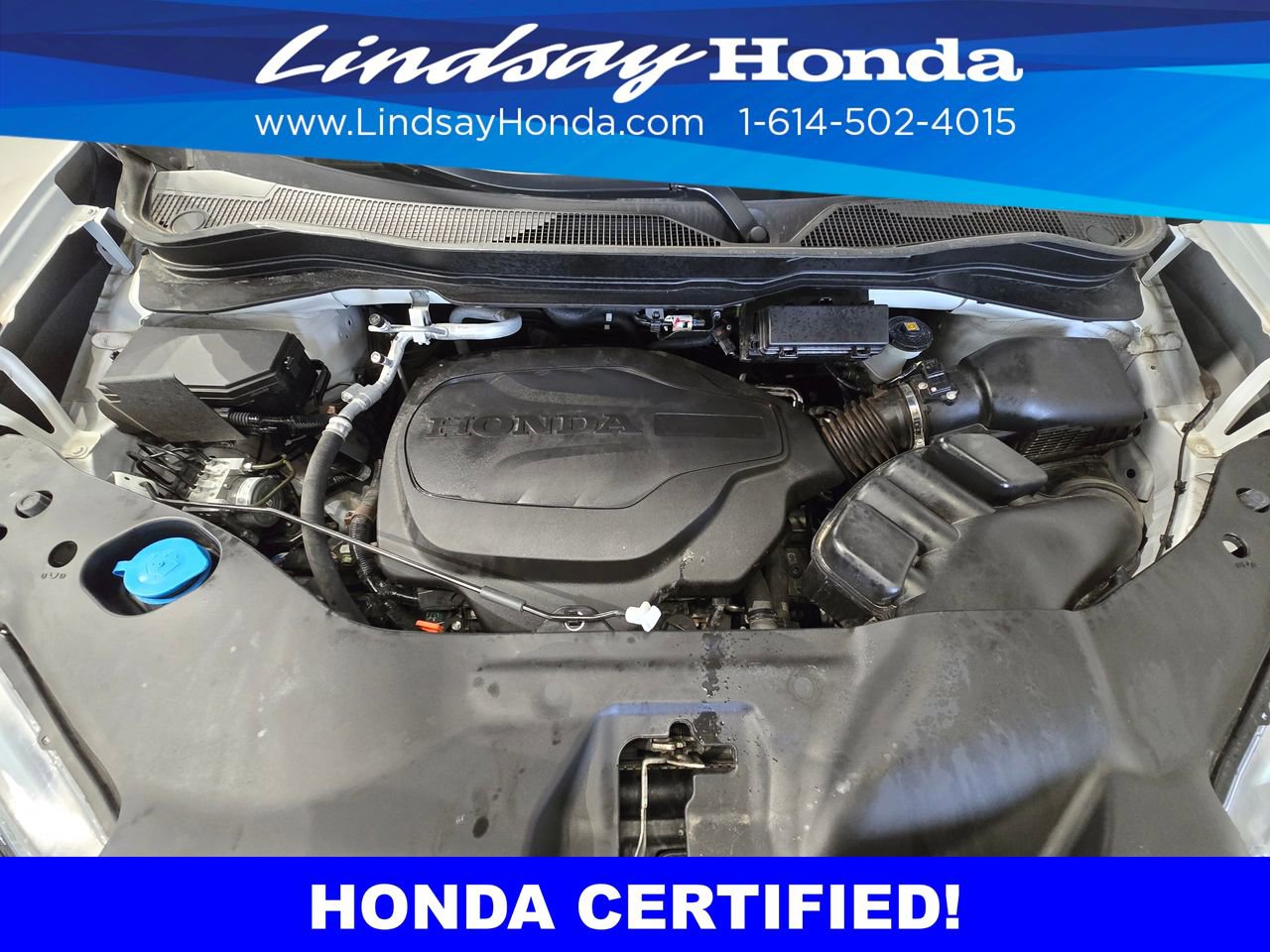 Certified 2023 Honda Passport Elite image 25