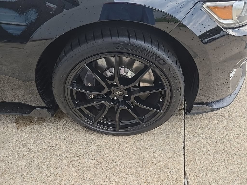 Used 2019 Ford Mustang Shelby GT350 w/ Technology Package RWD image 25
